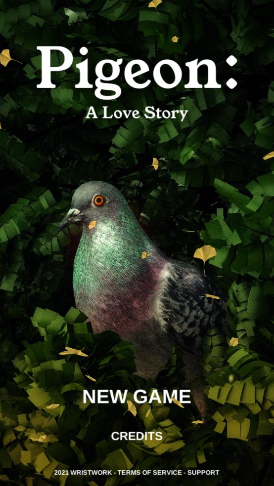 鸽子爱情故事游戏(Pigeon: A Love Story)截图3