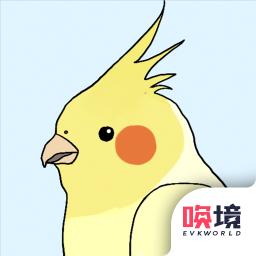 鸟巢游戏