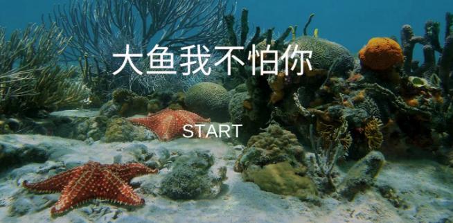 大鱼我不怕你游戏