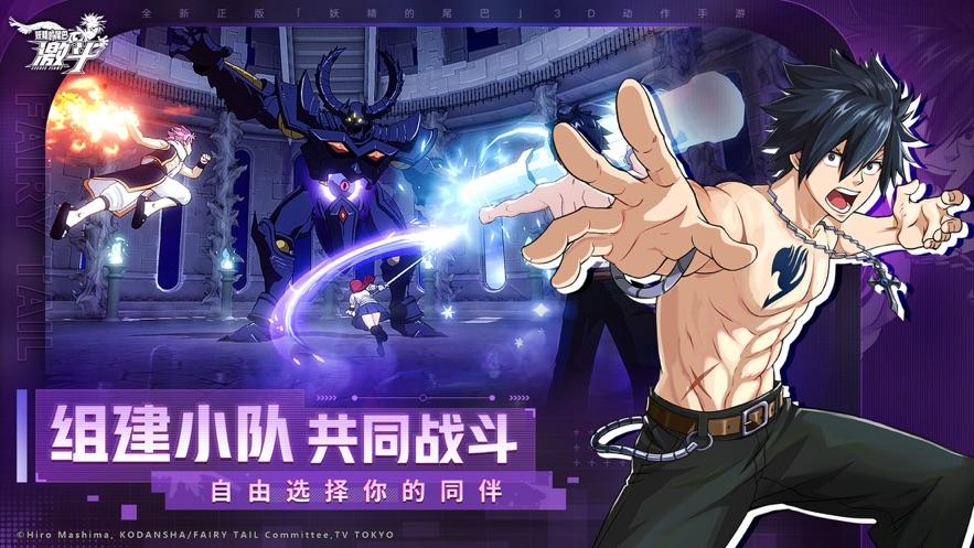 妖精的尾巴：激斗截图1