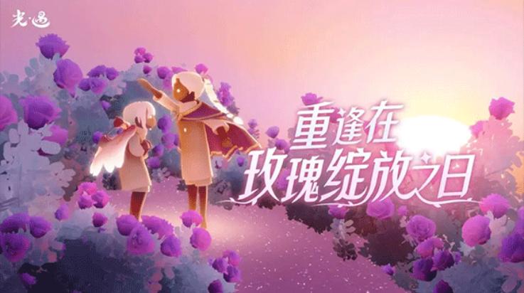 sky白鸟全部物品版(Sky安装器)截图1