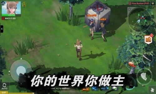 最后一个中二少女内置菜单
