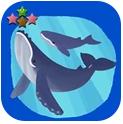 密室逃脱；水族馆