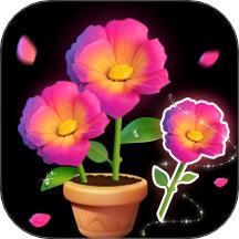 花儿朵朵消