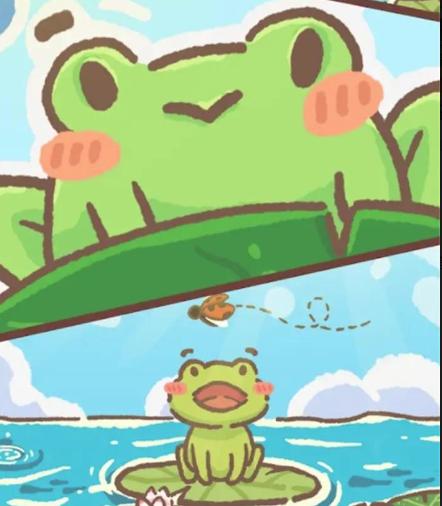 青蛙日记