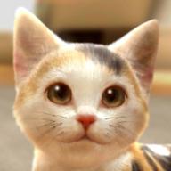 withMyCAT