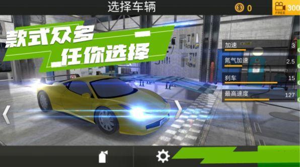 山脊驾驶模拟截图0