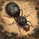 蚂蚁地下王国模拟器(The Ants)