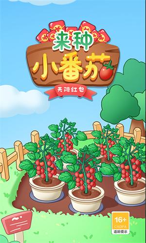 来种小番茄游戏
