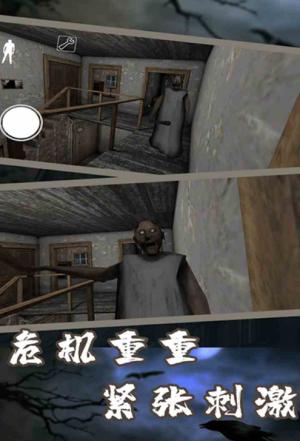 恐怖老奶奶7截图0