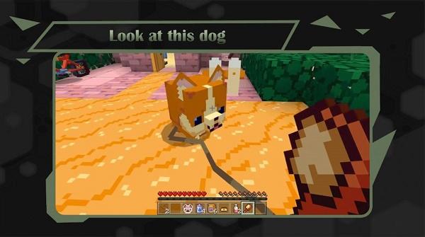像素动物城Mod Animal Cute for MCPE游戏