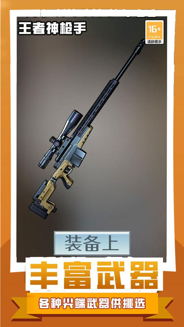 王者神枪手截图2