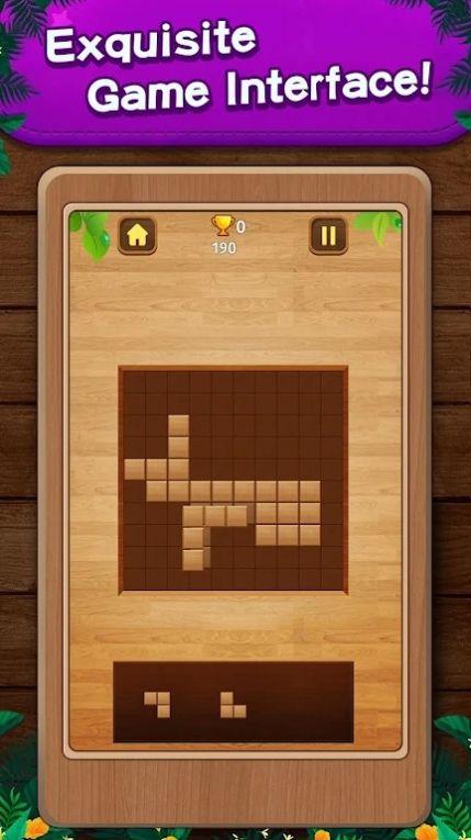 方块拼图冒险Block Puzzle Adventure游戏截图3