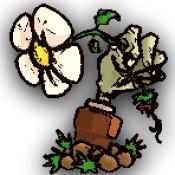 植物大战僵尸sIs版