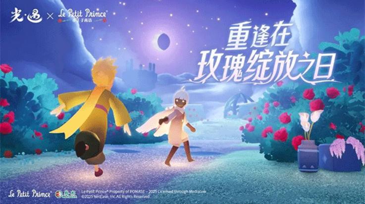 sky白鸟全部物品版(Sky安装器)截图2