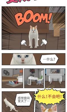 逃脱猫的视角截图0