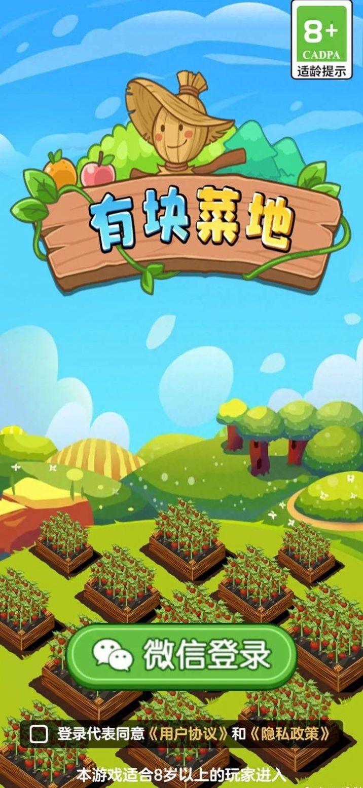 有块菜地2023截图0