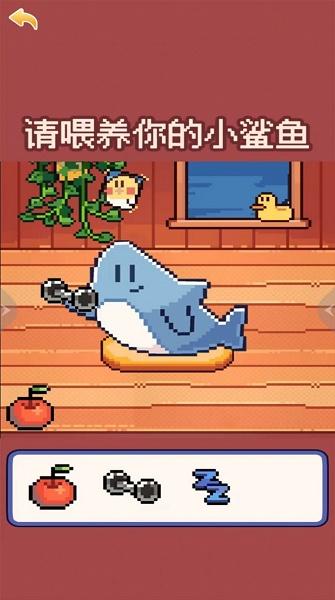 我的可爱小鲨鱼游戏游戏