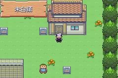 口袋妖怪漆黑的魅影5.0ex