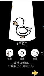 cluster duck
