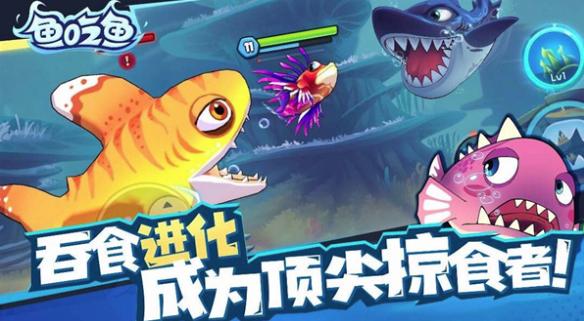 深海大鱼吃小鱼