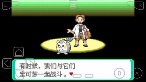 究极绿宝石5.5许愿盒版截图2