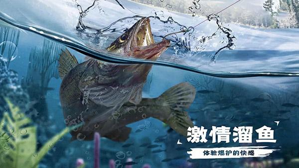 天天钓鱼官方下载