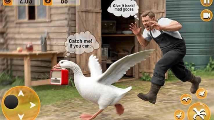 鸭子游戏3D鹅模拟器(Duck Game 3d: Goose Simulator)截图3