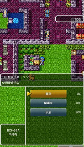 勇者斗恶龙2截图1