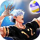 排球故事正版下载(The Spike Volleyball battle)