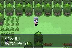 口袋妖怪漆黑的魅影5.0ex