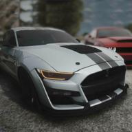 野马快车Drag Mustang Fast Car