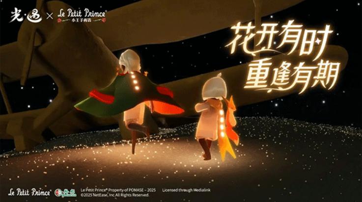 sky白鸟全部物品版(Sky安装器)截图3