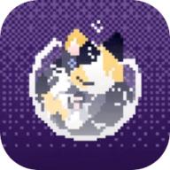 对人类过敏的猫游戏