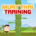 泰拳训练比赛游戏(muay thaitrainig game)