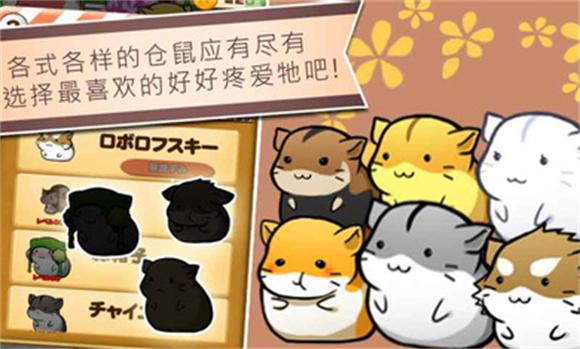 仓鼠的日常中文版截图1