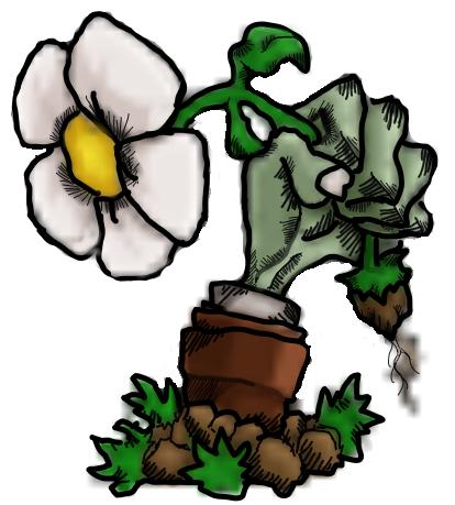 植物大战僵尸核辐射版