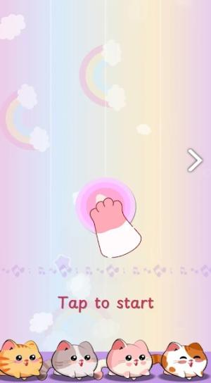 钢琴猫