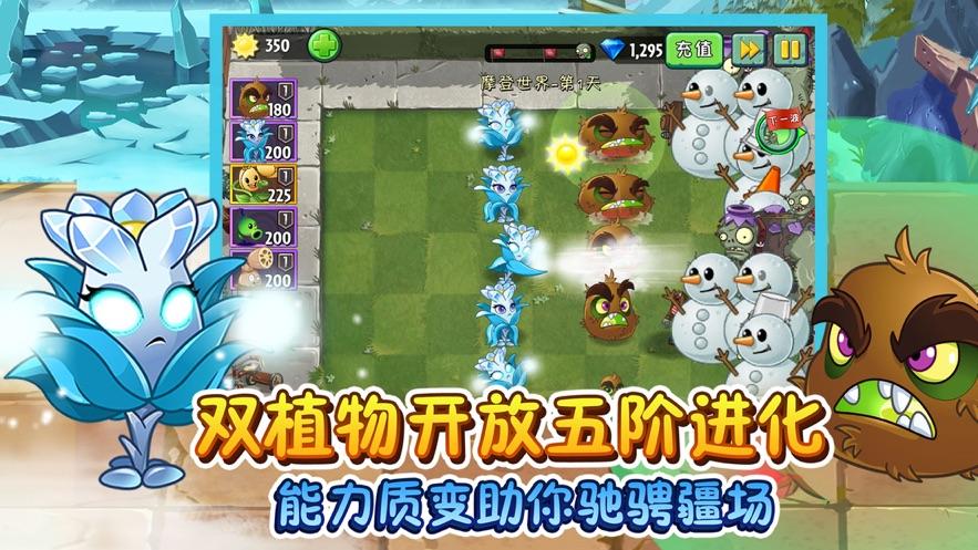 植物大战僵尸20阳光无冷却全5阶叠加版全白卡2021截图2