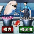 鲨鱼怪谈游戏