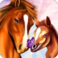 马儿天堂Horse Paradise