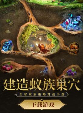 小小蚁国37端