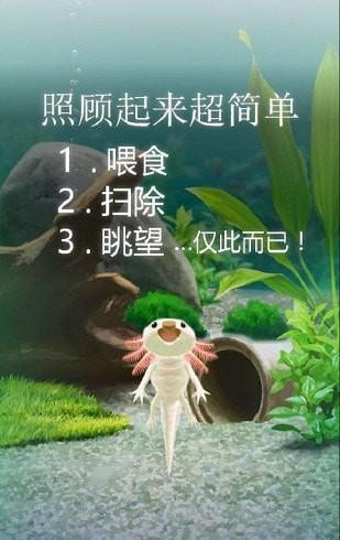治愈的蝾螈截图1