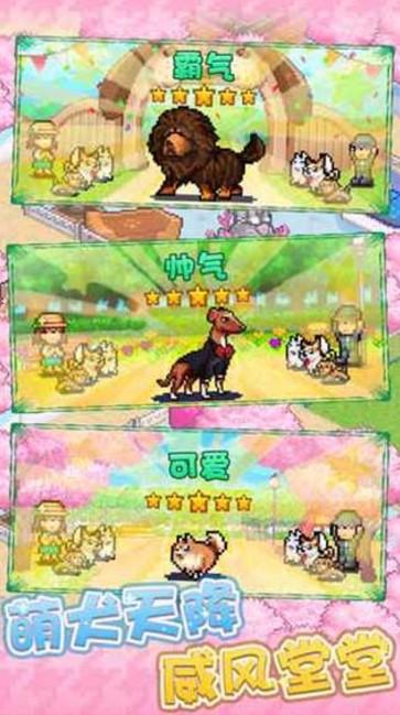 发现狗狗乐园游戏截图1
