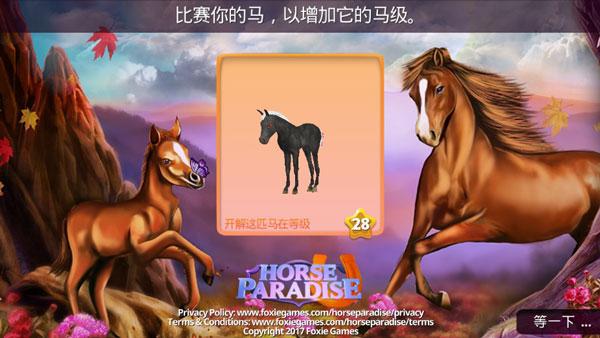 马儿天堂Horse Paradise