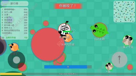 丛林大作战截图1