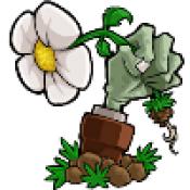 植物大战僵尸仿e支随机版