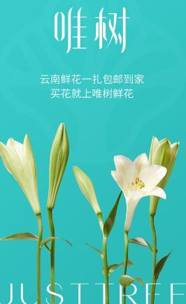 唯树鲜花app