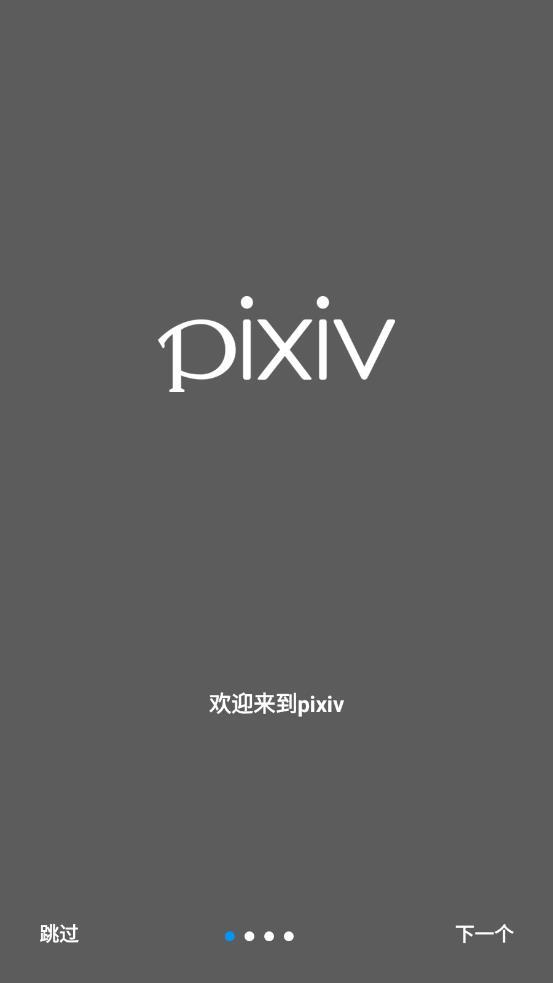 pixiv6.45.0 app截图2