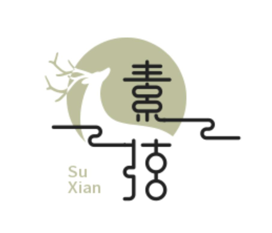 素弦直播公益版电视直播软件